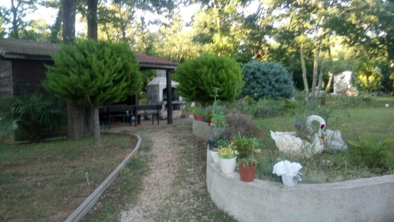 Apartment Andjel Poreč Kültér fotó